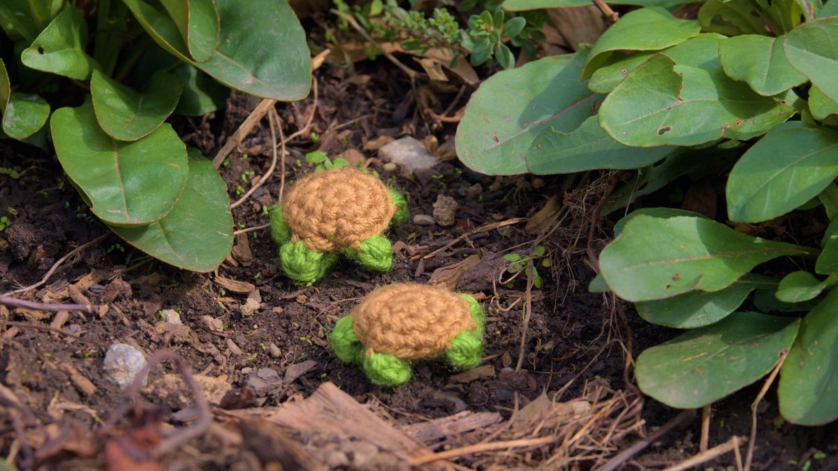 Crochet turtles in nature